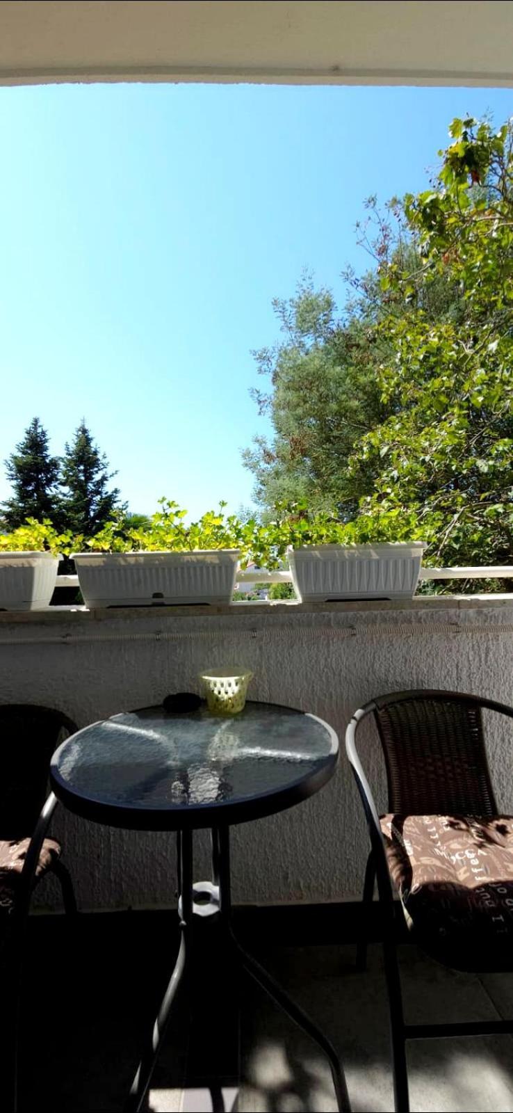 Diana Apartment Poreč Exterior foto